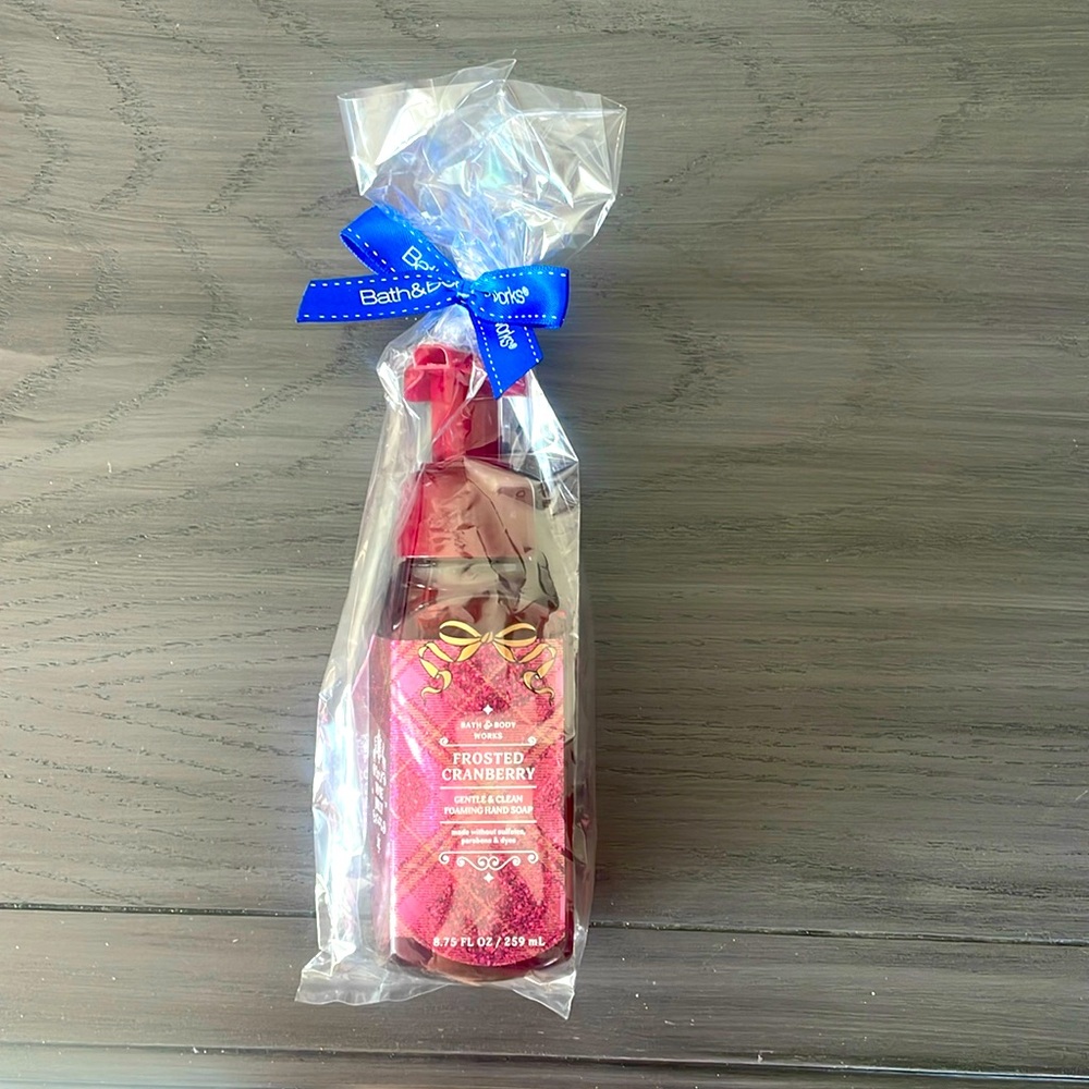 NEW Bath & Body Works Frosted Cranberry Gentle & Clean Foaming Hand Soap